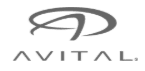 Avital